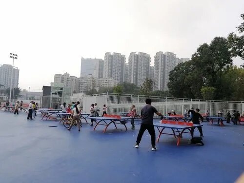 乒乓球台